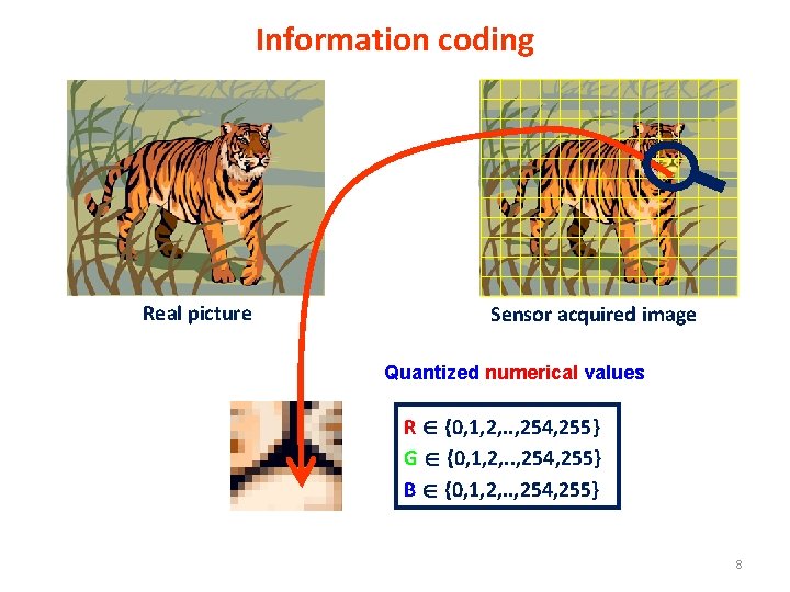 Information coding Real picture Sensor acquired image Quantized numerical values R {0, 1, 2,