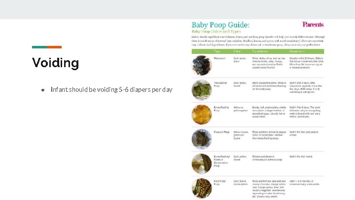 Voiding ● Infant should be voiding 5 -6 diapers per day 