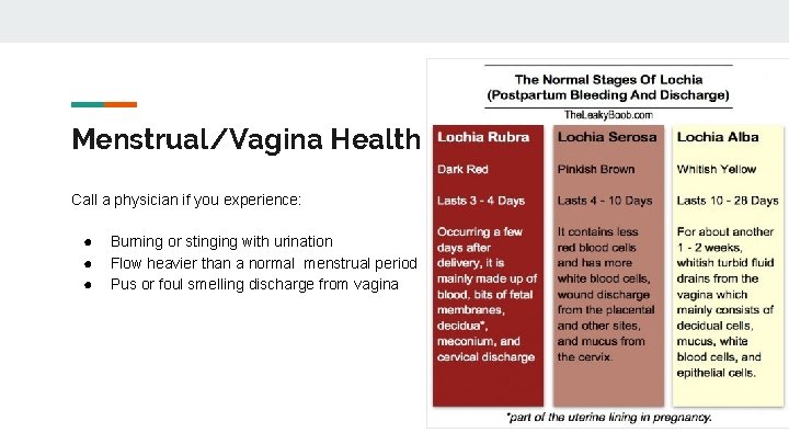 Menstrual/Vagina Health Call a physician if you experience: ● ● ● Burning or stinging