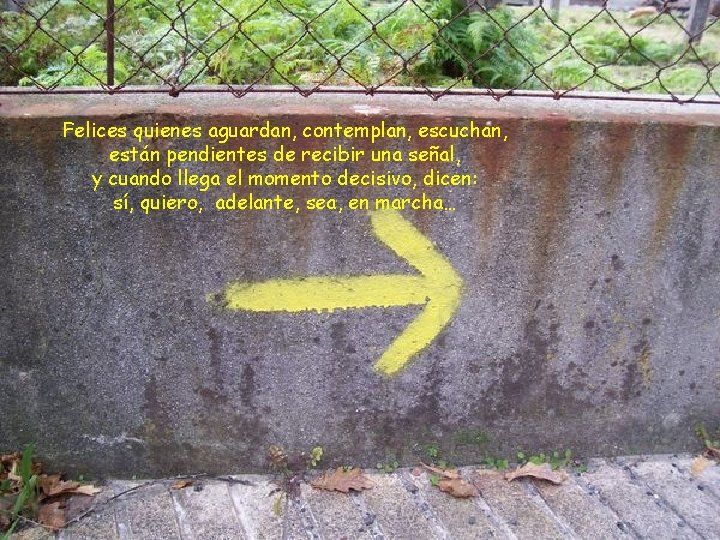 Felices quienes aguardan, contemplan, escuchan, están pendientes de recibir una señal, y cuando llega