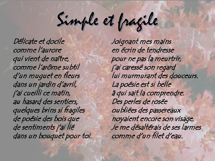 Simple et fragile Délicate et docile comme l’aurore qui vient de naître, comme l’arôme