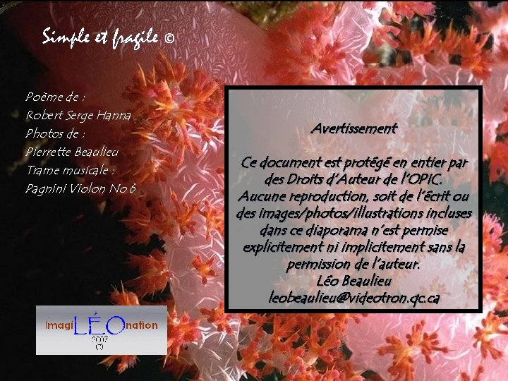 Simple et fragile © Poème de : Robert Serge Hanna Photos de : Pierrette