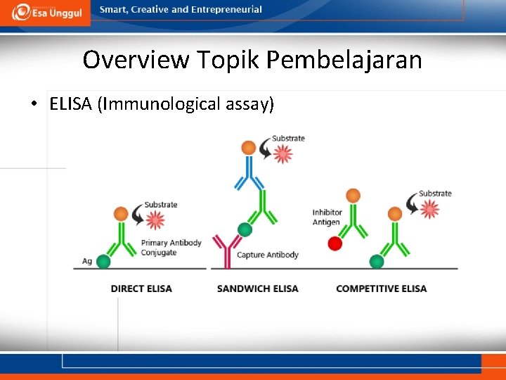 Overview Topik Pembelajaran • ELISA (Immunological assay) 