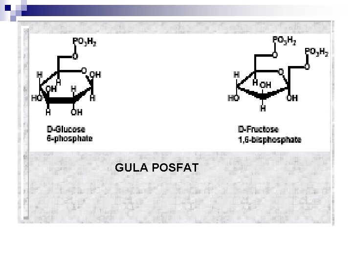 GULA POSFAT 