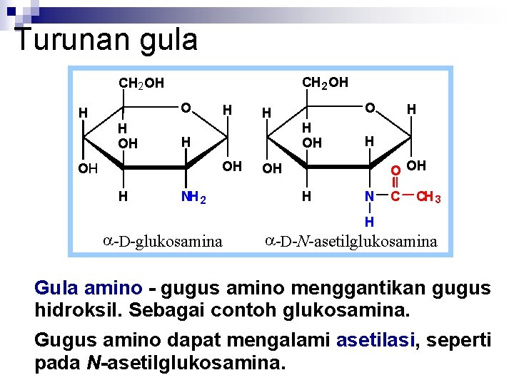 Turunan gula CH 2 OH O H H OH OH H O H NH