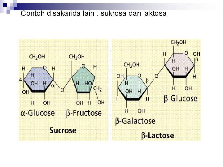 Contoh disakarida lain : sukrosa dan laktosa 