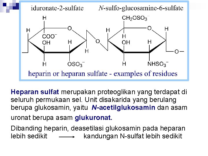 Heparan sulfat merupakan proteoglikan yang terdapat di seluruh permukaan sel. Unit disakarida yang berulang