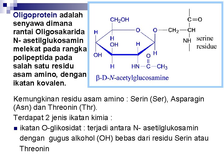 Oligoprotein adalah senyawa dimana rantai Oligosakarida N- asetilglukosamin melekat pada rangka polipeptida pada salah
