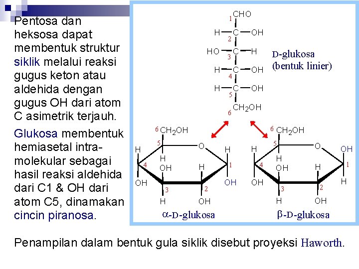 Pentosa dan heksosa dapat membentuk struktur siklik melalui reaksi gugus keton atau aldehida dengan