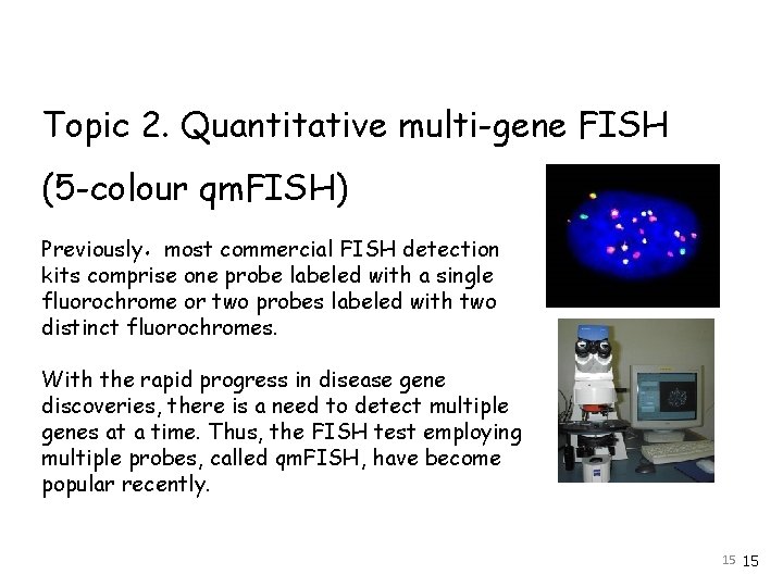 Topic 2. Quantitative multi-gene FISH (5 -colour qm. FISH) Previously，most commercial FISH detection kits