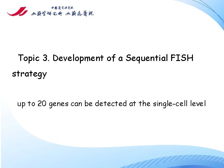 Topic 3. Development of a Sequential FISH strategy up to 20 genes can be
