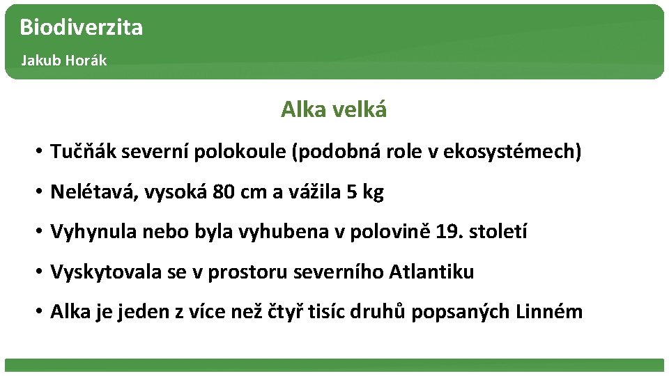 Biodiverzita Jakub Horák Alka velká • Tučňák severní polokoule (podobná role v ekosystémech) •