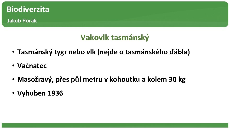 Biodiverzita Jakub Horák Vakovlk tasmánský • Tasmánský tygr nebo vlk (nejde o tasmánského ďábla)