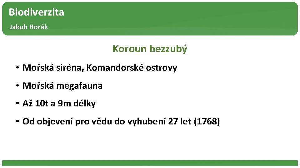 Biodiverzita Jakub Horák Koroun bezzubý • Mořská siréna, Komandorské ostrovy • Mořská megafauna •