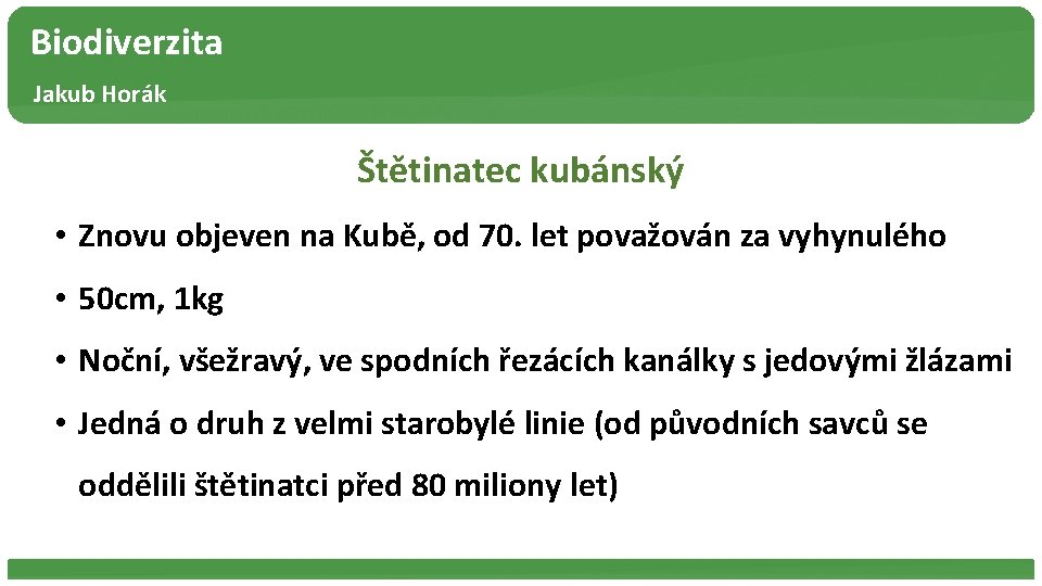 Biodiverzita Jakub Horák Štětinatec kubánský • Znovu objeven na Kubě, od 70. let považován