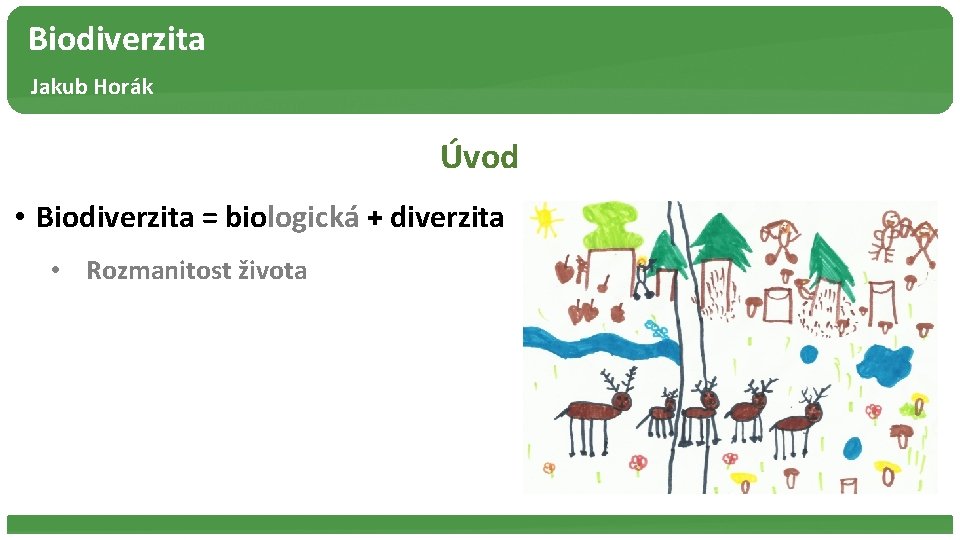 Biodiverzita Jakub Horák Úvod • Biodiverzita = biologická + diverzita • Rozmanitost života 