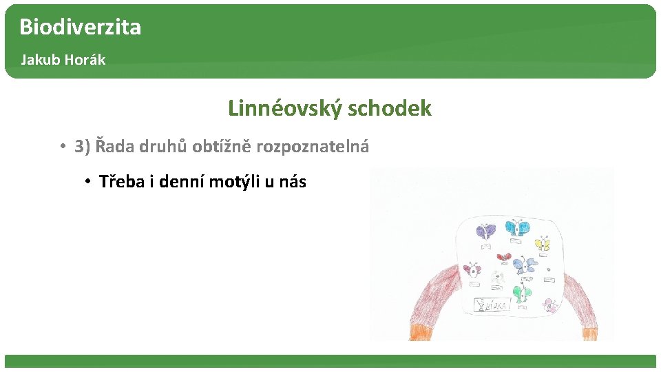 Biodiverzita Jakub Horák Linnéovský schodek • 3) Řada druhů obtížně rozpoznatelná • Třeba i