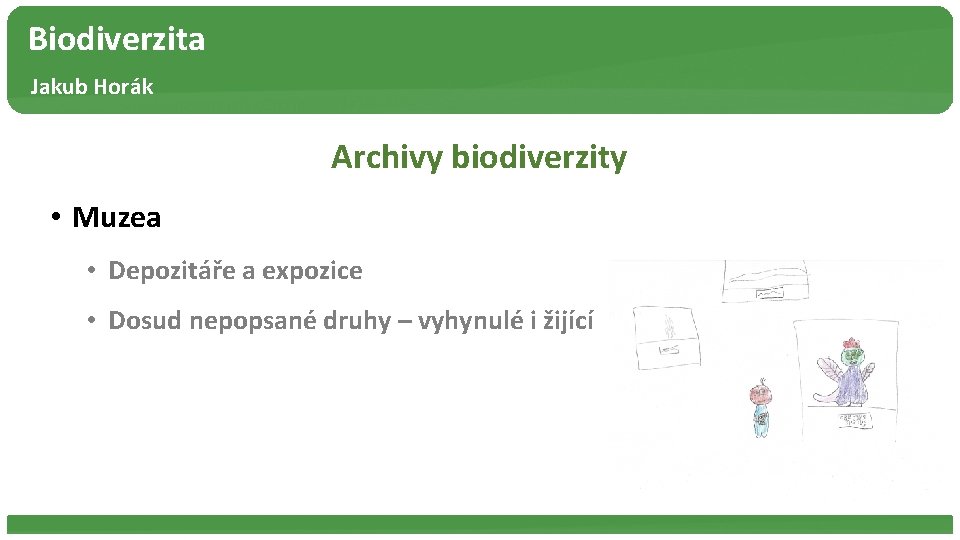 Biodiverzita Jakub Horák Archivy biodiverzity • Muzea • Depozitáře a expozice • Dosud nepopsané