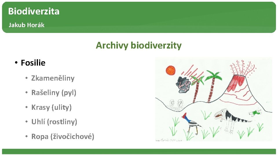 Biodiverzita Jakub Horák Archivy biodiverzity • Fosilie • Zkameněliny • Rašeliny (pyl) • Krasy