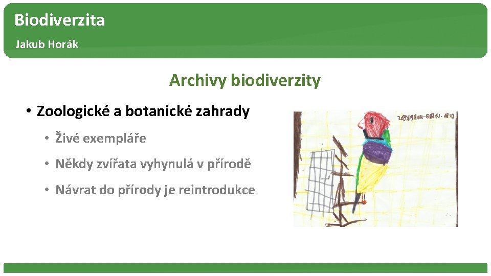 Biodiverzita Jakub Horák Archivy biodiverzity • Zoologické a botanické zahrady • Živé exempláře •