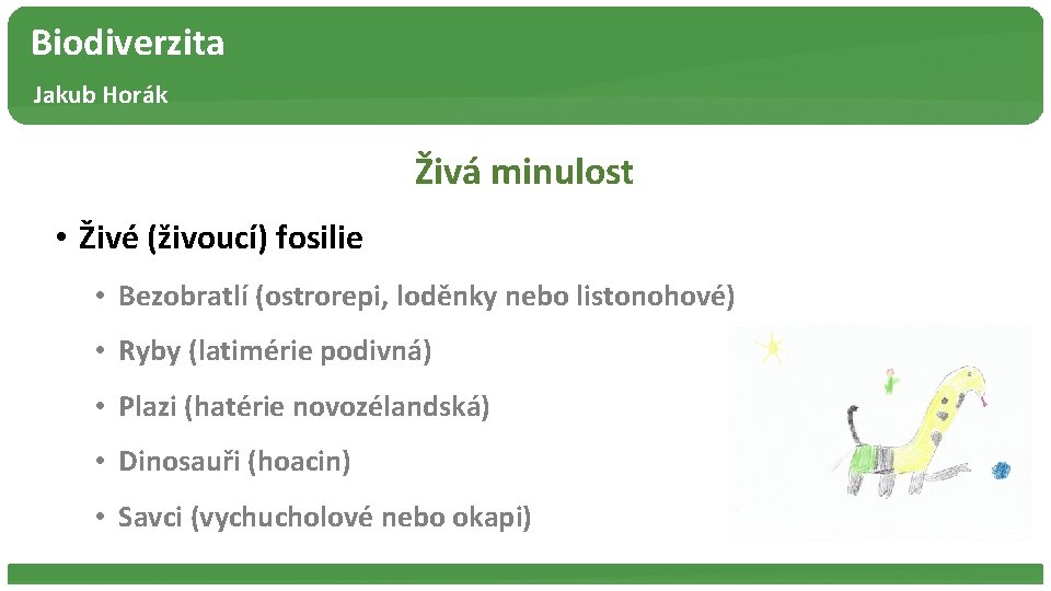 Biodiverzita Jakub Horák Živá minulost • Živé (živoucí) fosilie • Bezobratlí (ostrorepi, loděnky nebo