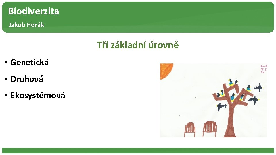 Biodiverzita Jakub Horák Tři základní úrovně • Genetická • Druhová • Ekosystémová 