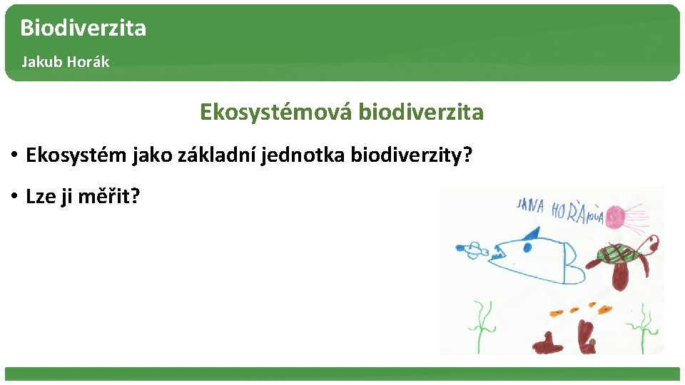 Biodiverzita Jakub Horák Ekosystémová biodiverzita • Ekosystém jako základní jednotka biodiverzity? • Lze ji