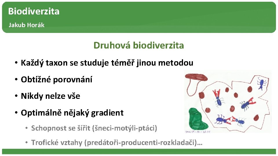 Biodiverzita Jakub Horák Druhová biodiverzita • Každý taxon se studuje téměř jinou metodou •