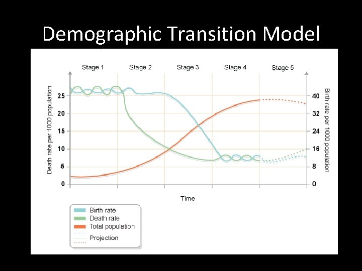 Demographic Transition Model 