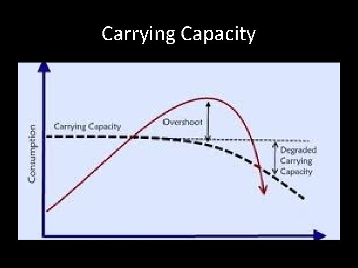 Carrying Capacity 