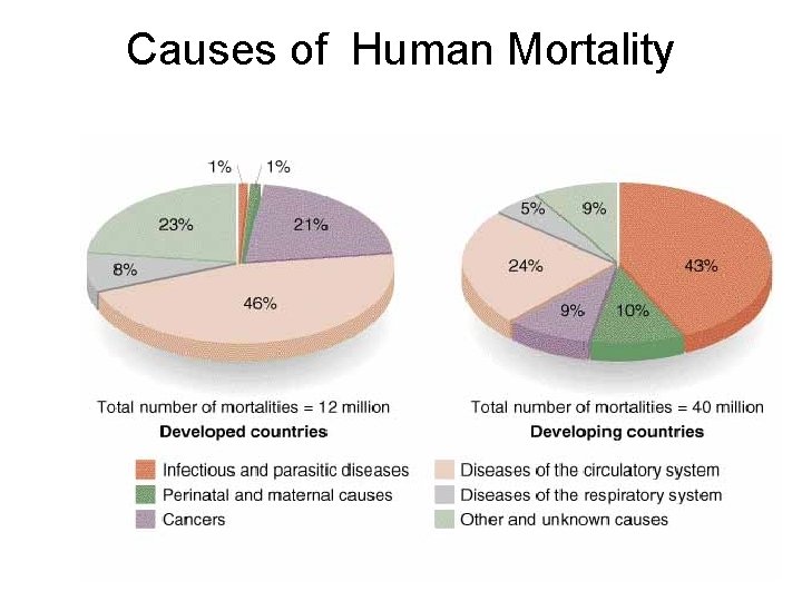 Causes of Human Mortality 