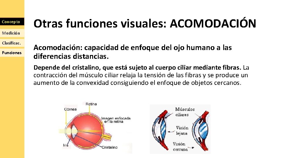 Concepto Medición Clasificac. Funciones Otras funciones visuales: ACOMODACIÓN Acomodación: capacidad de enfoque del ojo