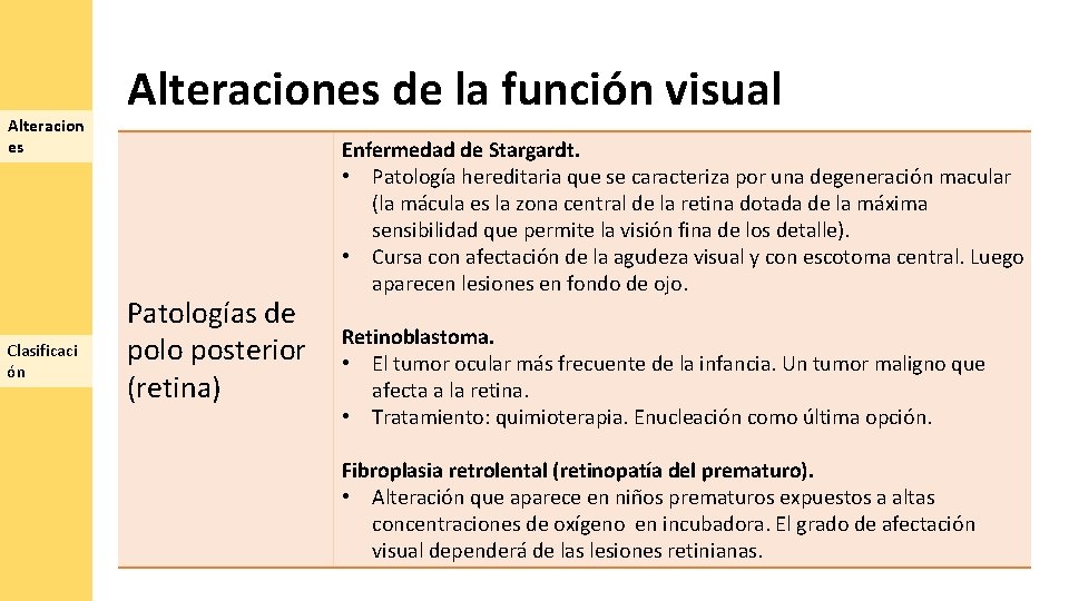 Alteracion es Clasificaci ón Alteraciones de la función visual Patologías de polo posterior (retina)