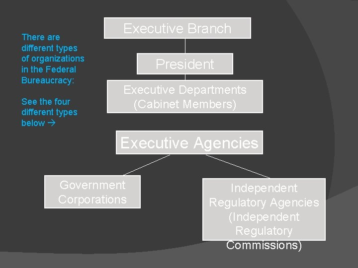 There are different types of organizations in the Federal Bureaucracy: See the four different