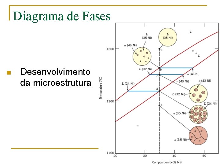 Diagrama de Fases n Desenvolvimento da microestrutura 