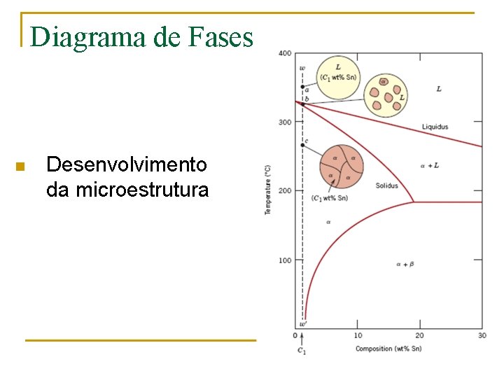 Diagrama de Fases n Desenvolvimento da microestrutura 