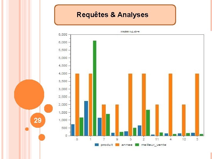 Requêtes & Analyses 29 