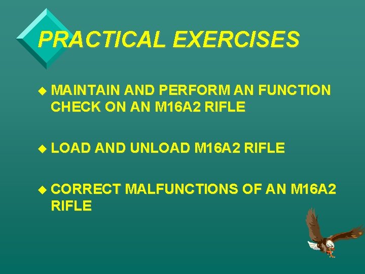 PRACTICAL EXERCISES u MAINTAIN AND PERFORM AN FUNCTION CHECK ON AN M 16 A