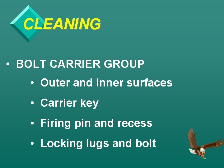 CLEANING • BOLT CARRIER GROUP • Outer and inner surfaces • Carrier key •