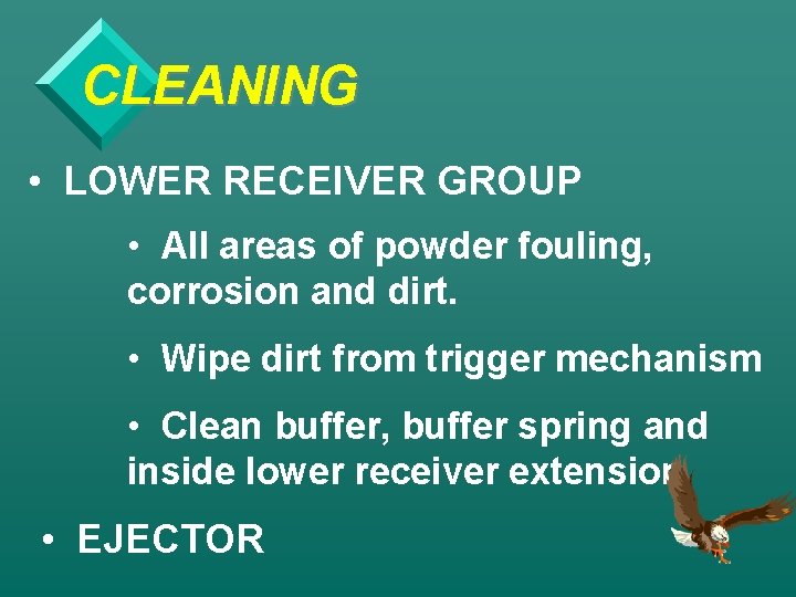 CLEANING • LOWER RECEIVER GROUP • All areas of powder fouling, corrosion and dirt.