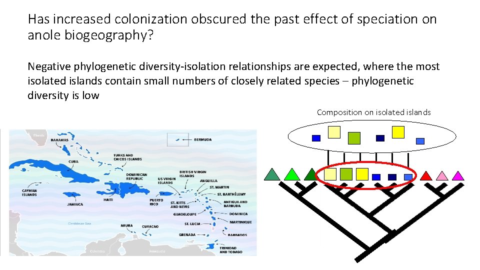 Has increased colonization obscured the past effect of speciation on anole biogeography? Negative phylogenetic