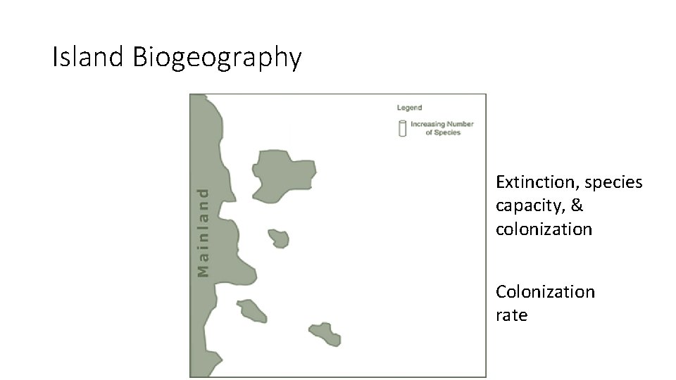 Island Biogeography Extinction, species capacity, & colonization Colonization rate 