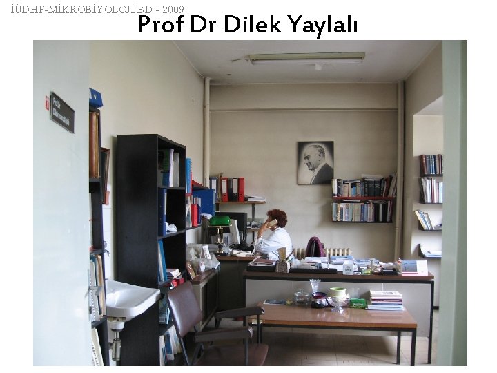 İÜDHF-MİKROBİYOLOJİ BD - 2009 Prof Dr Dilek Yaylalı 