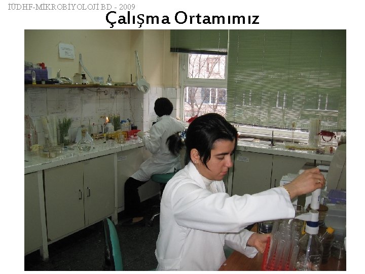 İÜDHF-MİKROBİYOLOJİ BD - 2009 Çalışma Ortamımız 