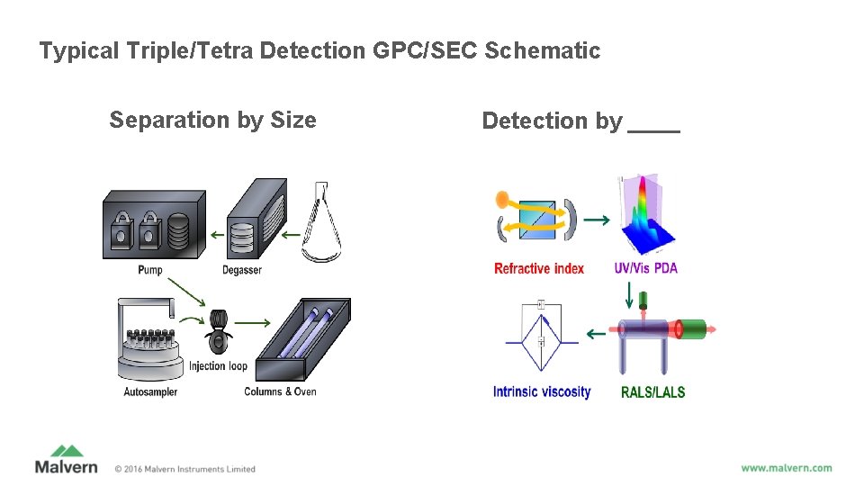 Typical Triple/Tetra Detection GPC/SEC Schematic Separation by Size Detection by ____ Typical Triple/Tetra Detection GPC/SEC Schematic Separation by Size Detection by ____