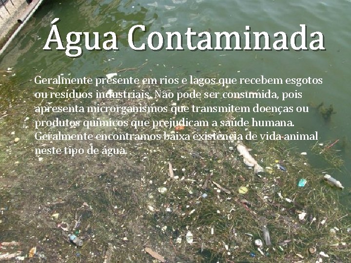 Água Contaminada Geralmente presente em rios e lagos que recebem esgotos ou resíduos industriais.