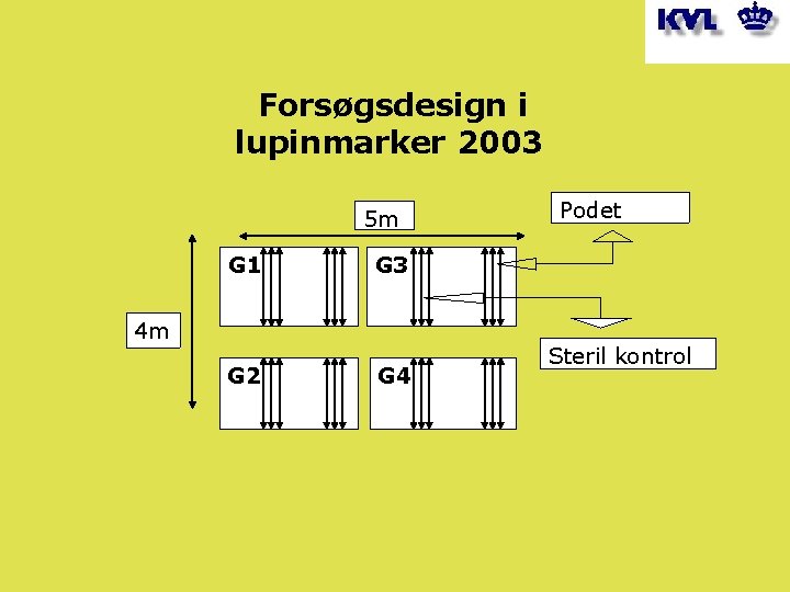  Forsøgsdesign i lupinmarker 2003 5 m G 1 G 3 4 m G