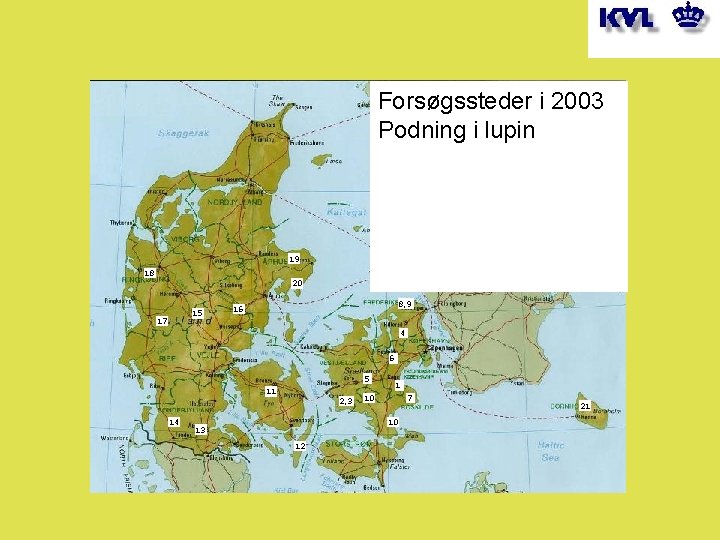 Forsøgssteder i 2003 Podning i lupin 19 18 20 15 17 . 8, 9