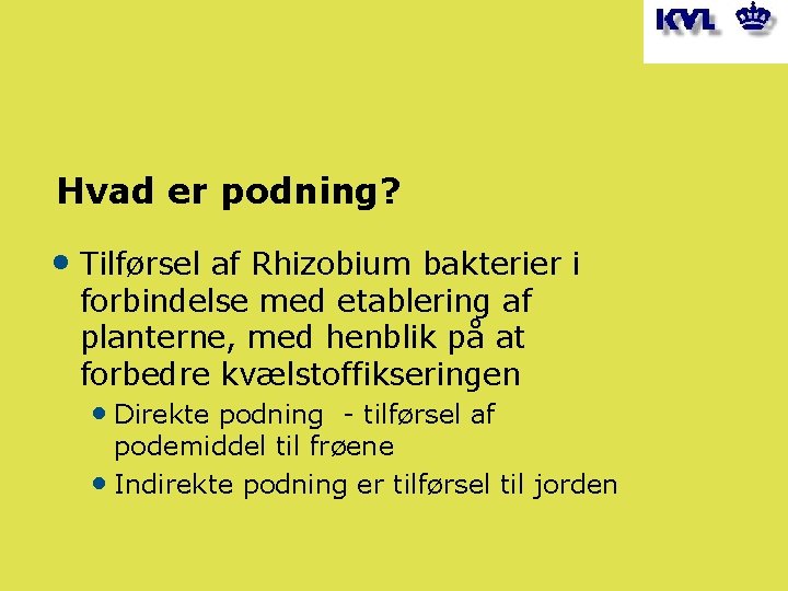 Hvad er podning? • Tilførsel af Rhizobium bakterier i forbindelse med etablering af planterne,