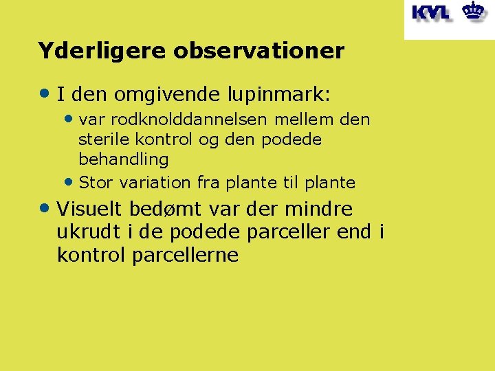 Yderligere observationer • I den omgivende lupinmark: • var rodknolddannelsen mellem den sterile kontrol
